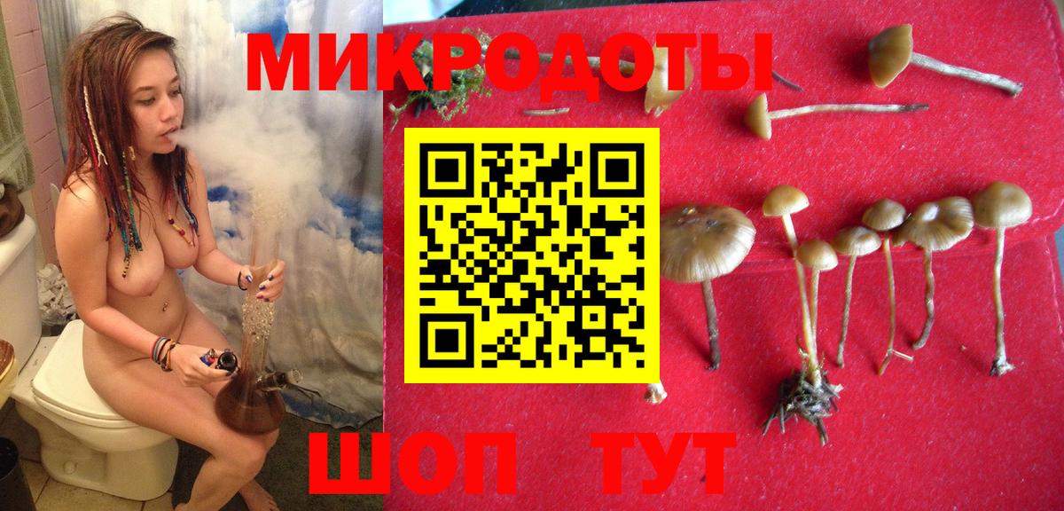 Псилоцибиновые грибы Magic Shrooms Большой Камень