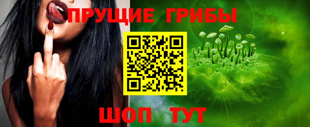 Галлюциногенные грибы Psilocybine cubensis  Вход с VPN  Большой Камень 